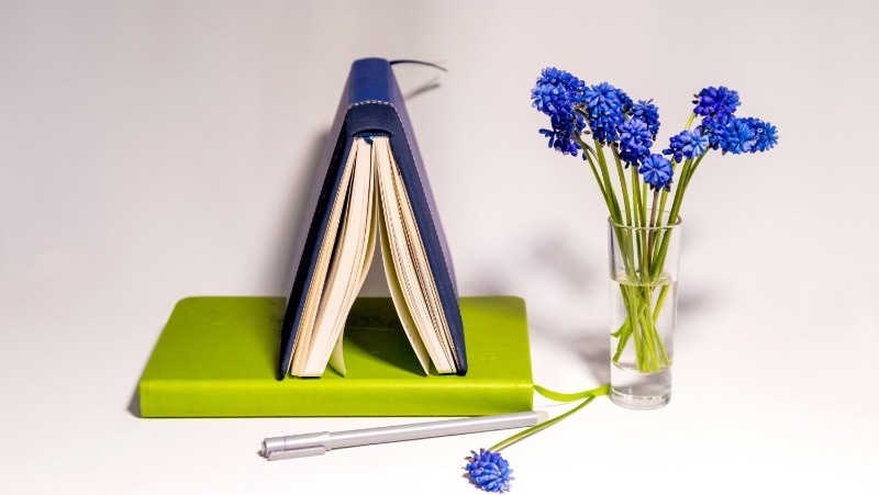      Фото: @glaushkina1 / freepik.com