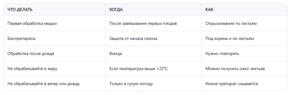 Когда и как обрабатывать — правила, которые нельзя нарушать