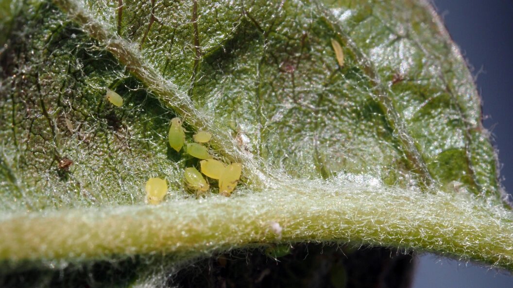    Фото: Soeren Stache/ZB/Globallookpress