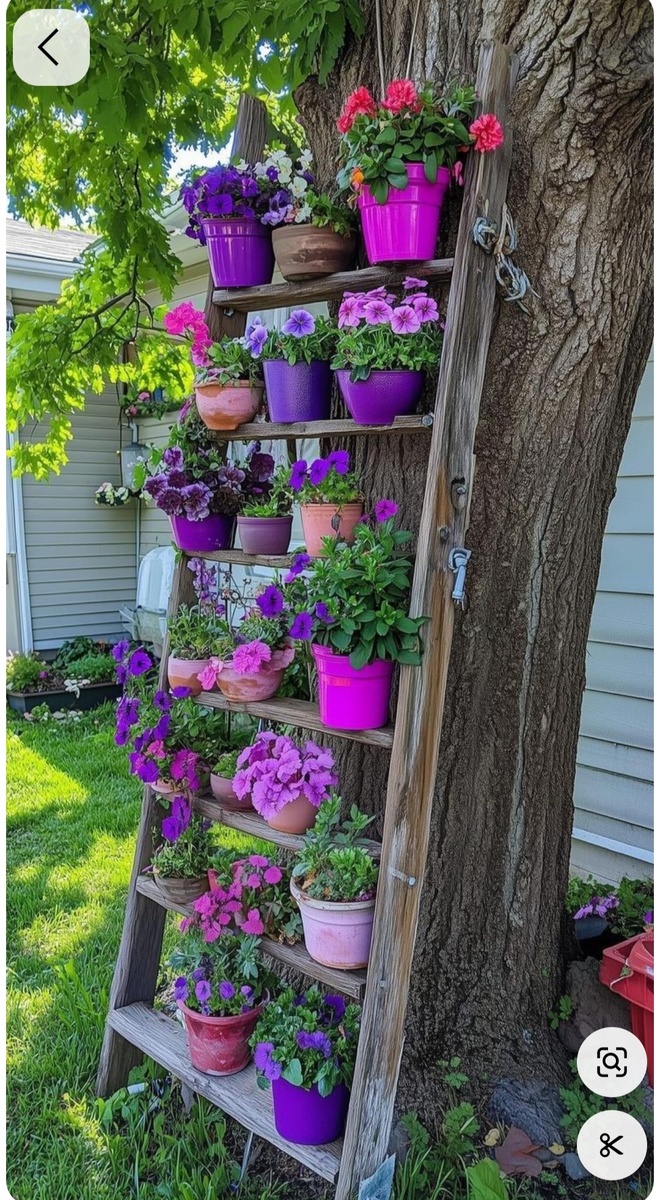 Фото из интернета, свободный источник