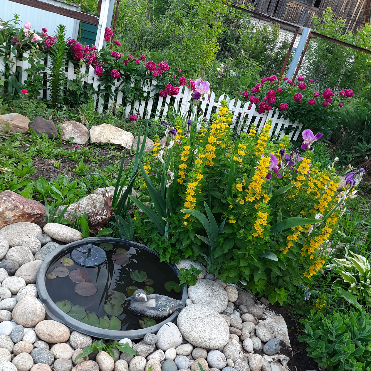 Ну..хотя бы вот так)))