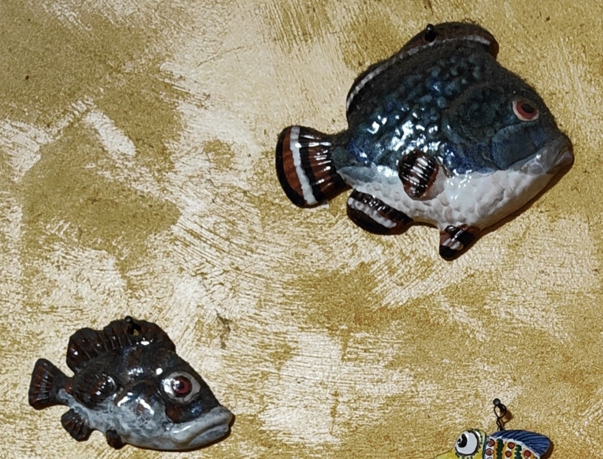 Первые рыбы, положившие начало коллекции