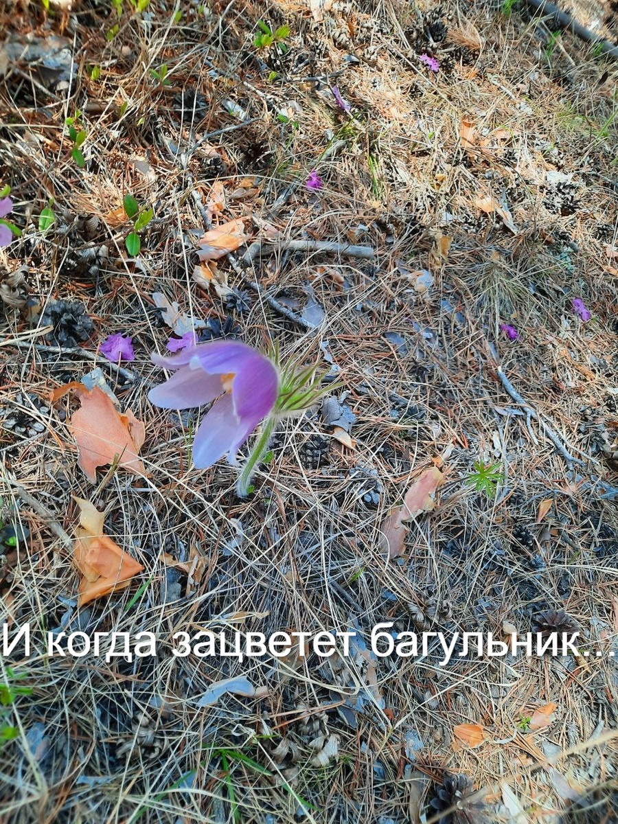 Фото автора.