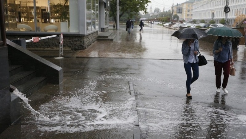      Фото: ИА «Победа26»