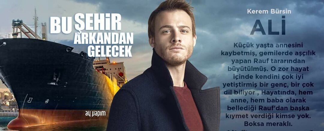 Али Смит (Керем Бюрсин)