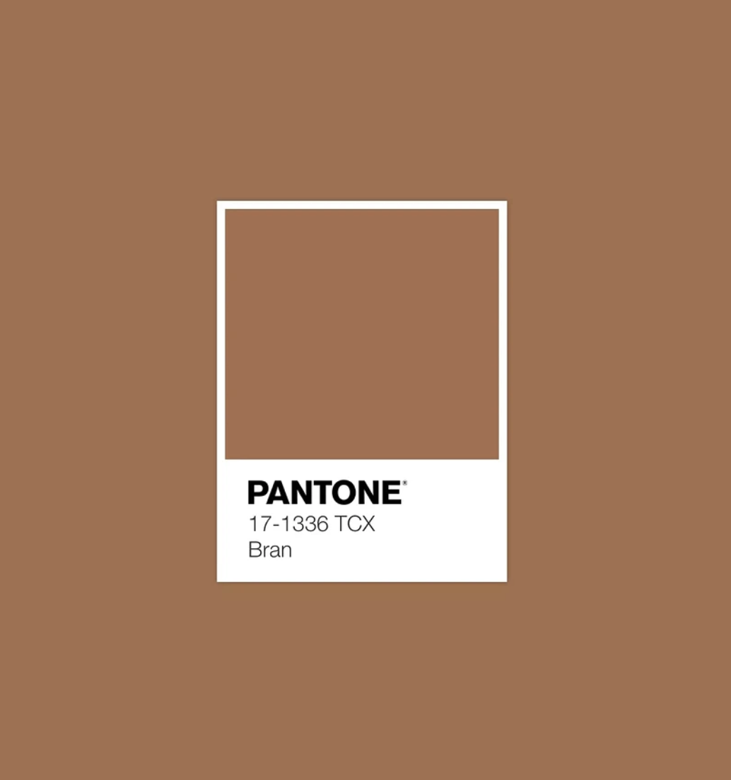Оттенок Bran Источник: Pantone