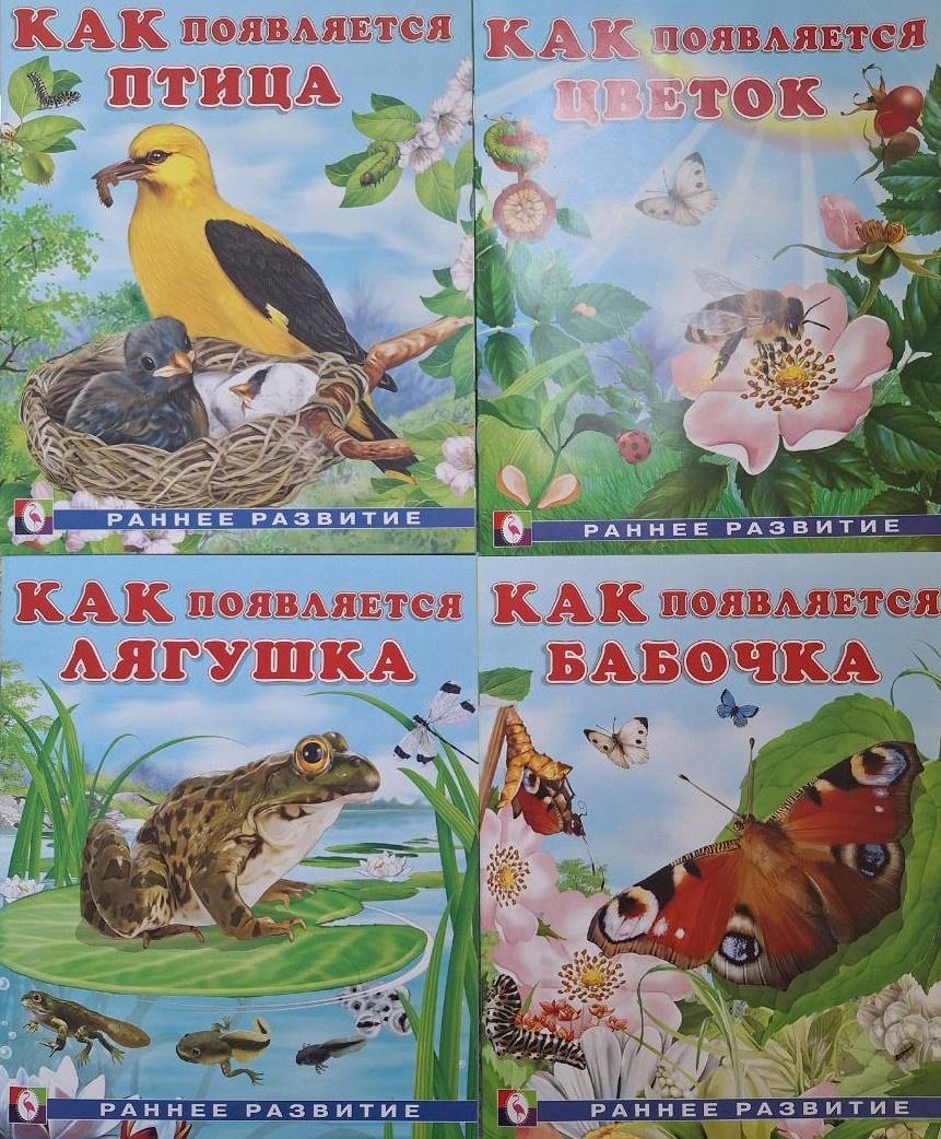 Вот такая красота