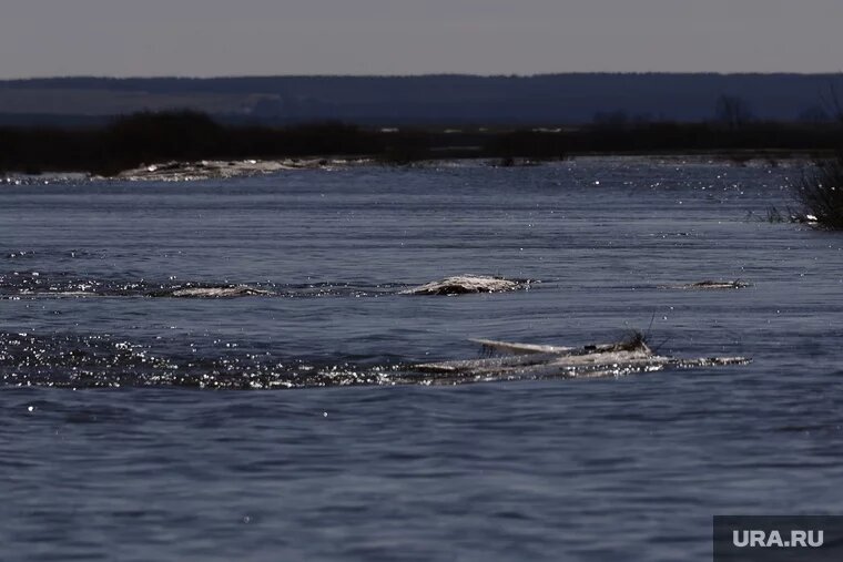 Тело девушки нашли в реке (архивное фото). Фото: Екатерина Сычкова © URA.RU
