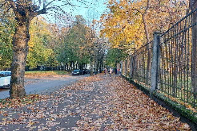   Фото из архива Калининград.Ru