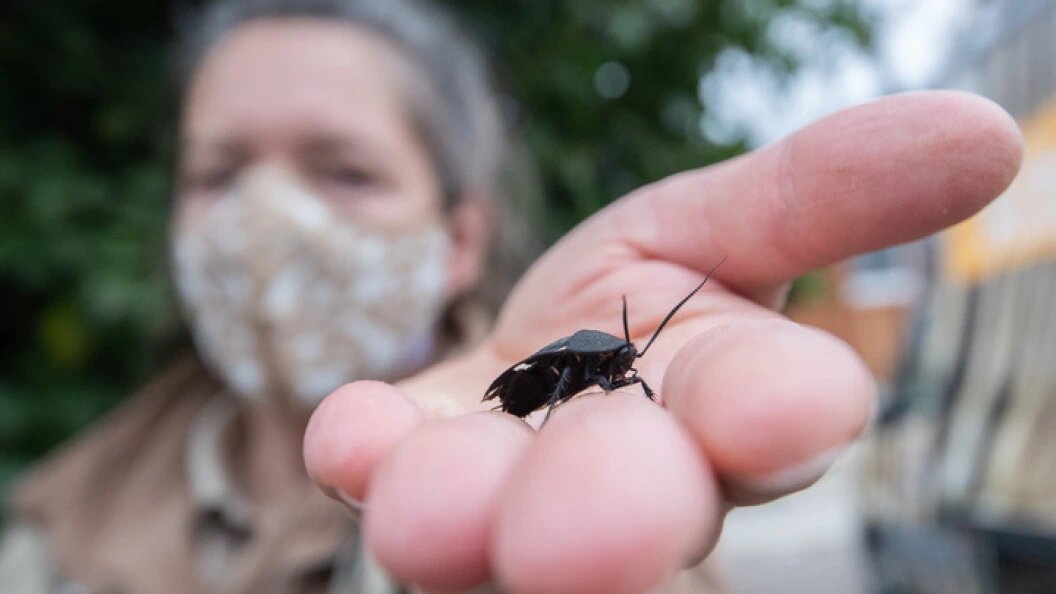    Фото: Julian Stratenschulte/dpa/Globallookpress