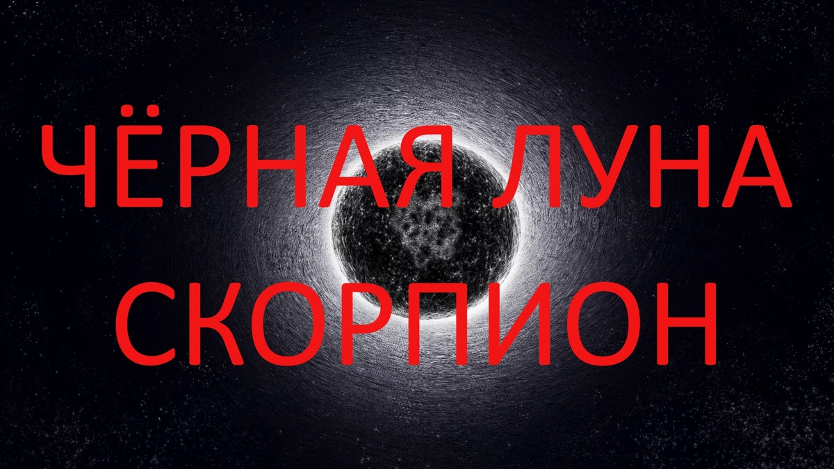 Чёрная Луна. Фото modasadovod.ru