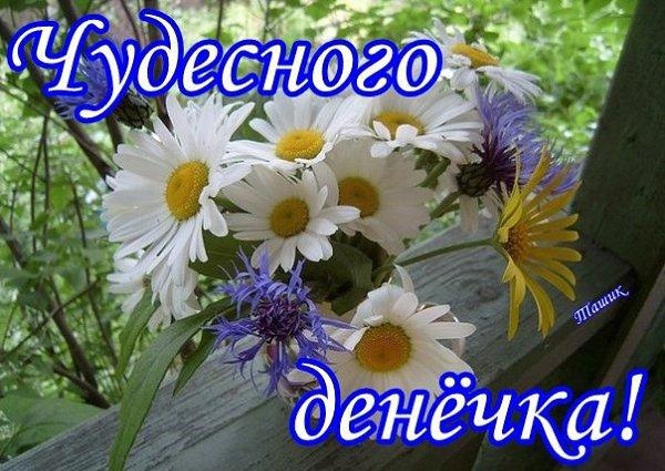 Фото из открытого источника в интернете.