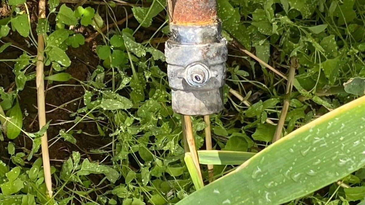     Автор: Минприроды РО