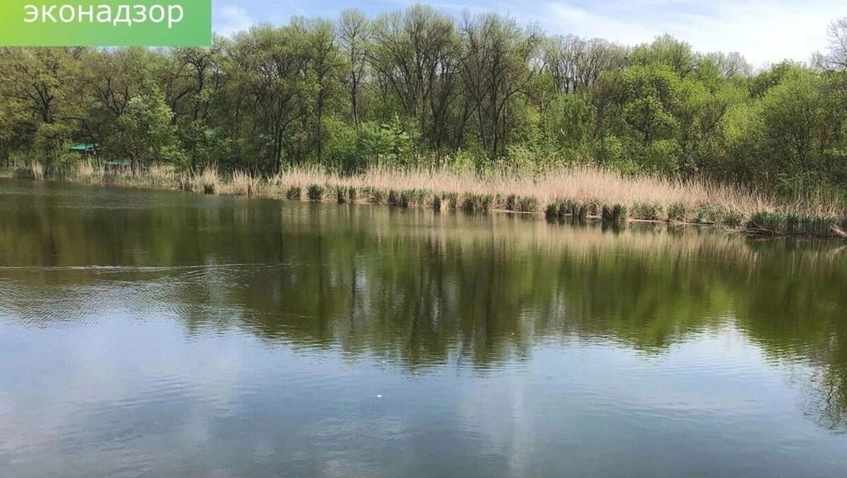     Автор: Минприроды РО