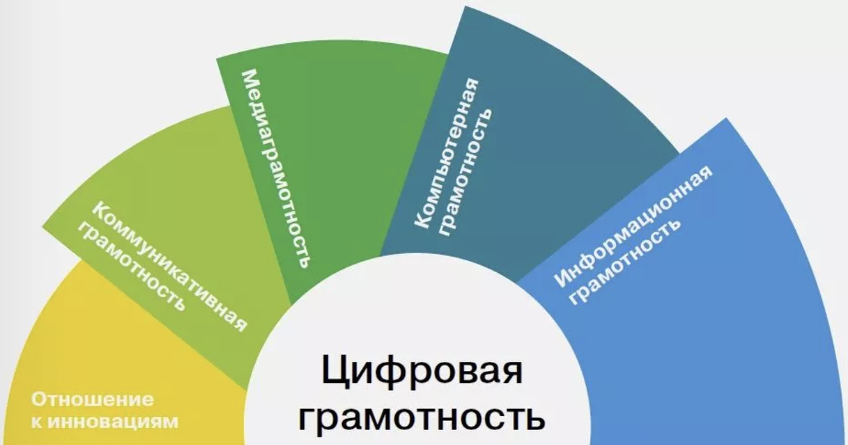 Из чего складывается цифровая грамотноть современного человека
