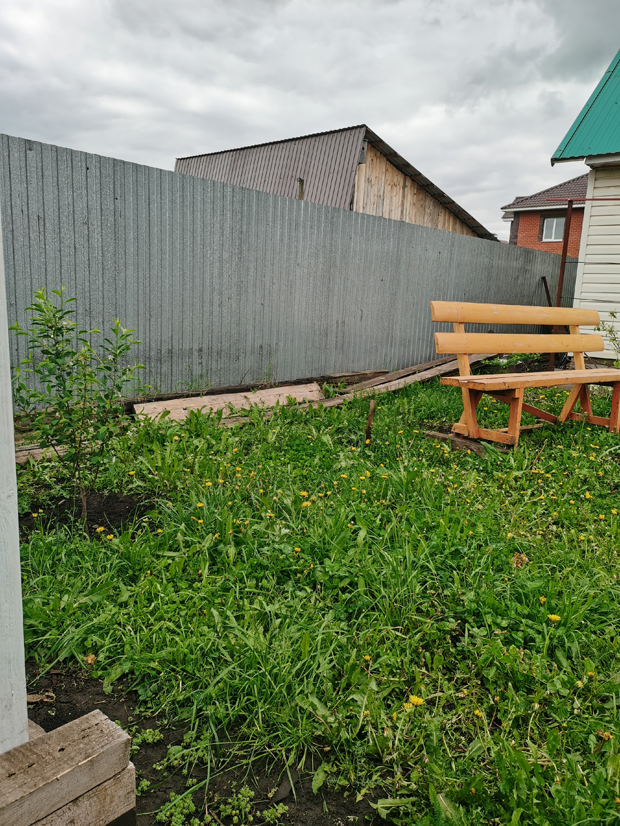 Вот эта лужайка с одуванчиками, меня мучила. Пусть это будет фото до. 