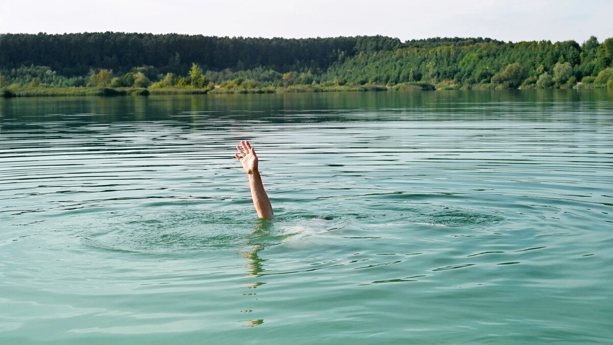    Фото: Belight/Shutterstock/Fotodom