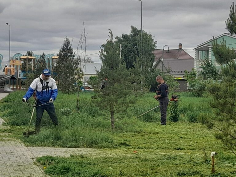    Сделаем вместе Оренбург чище и зеленее Марина Шарт