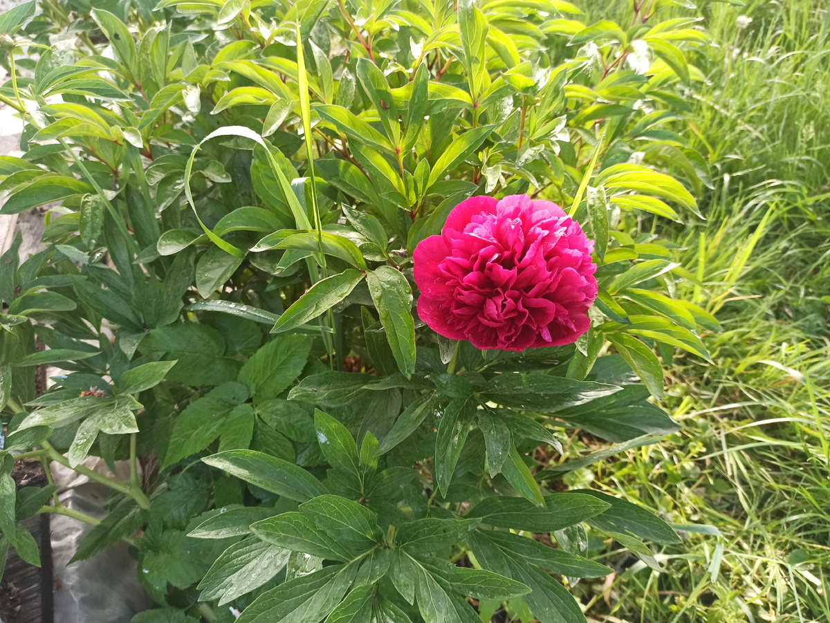 Фото автора. 