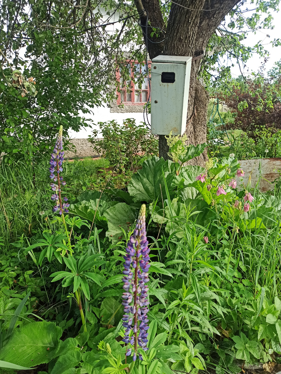 Фото автора. 