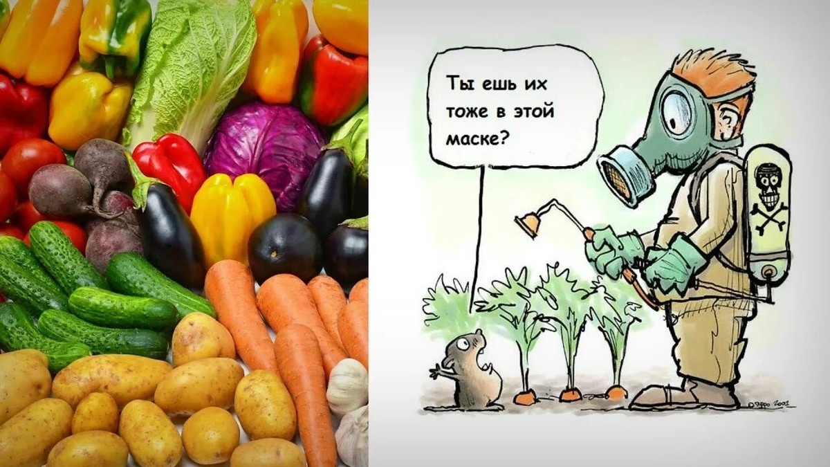 все хорошо в меру