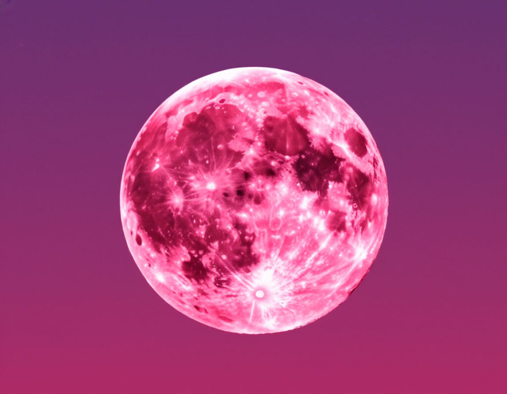    Фото: Шедеврум Полина Анкушина