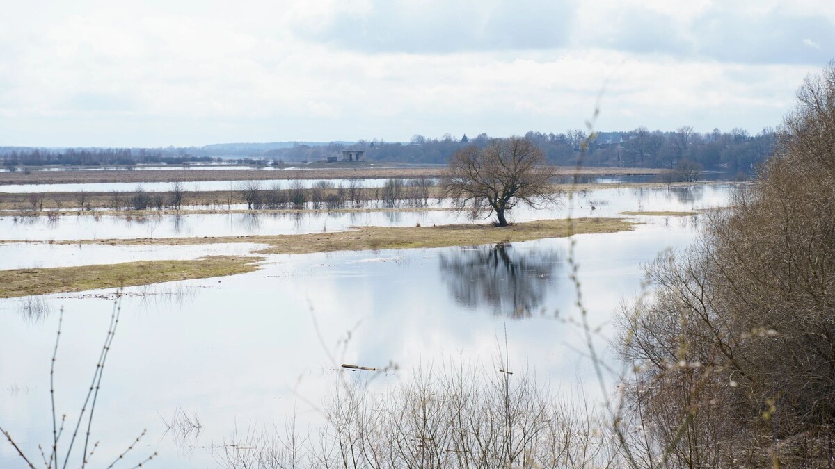    Фото: SkazovD/Shutterstock/Fotodom