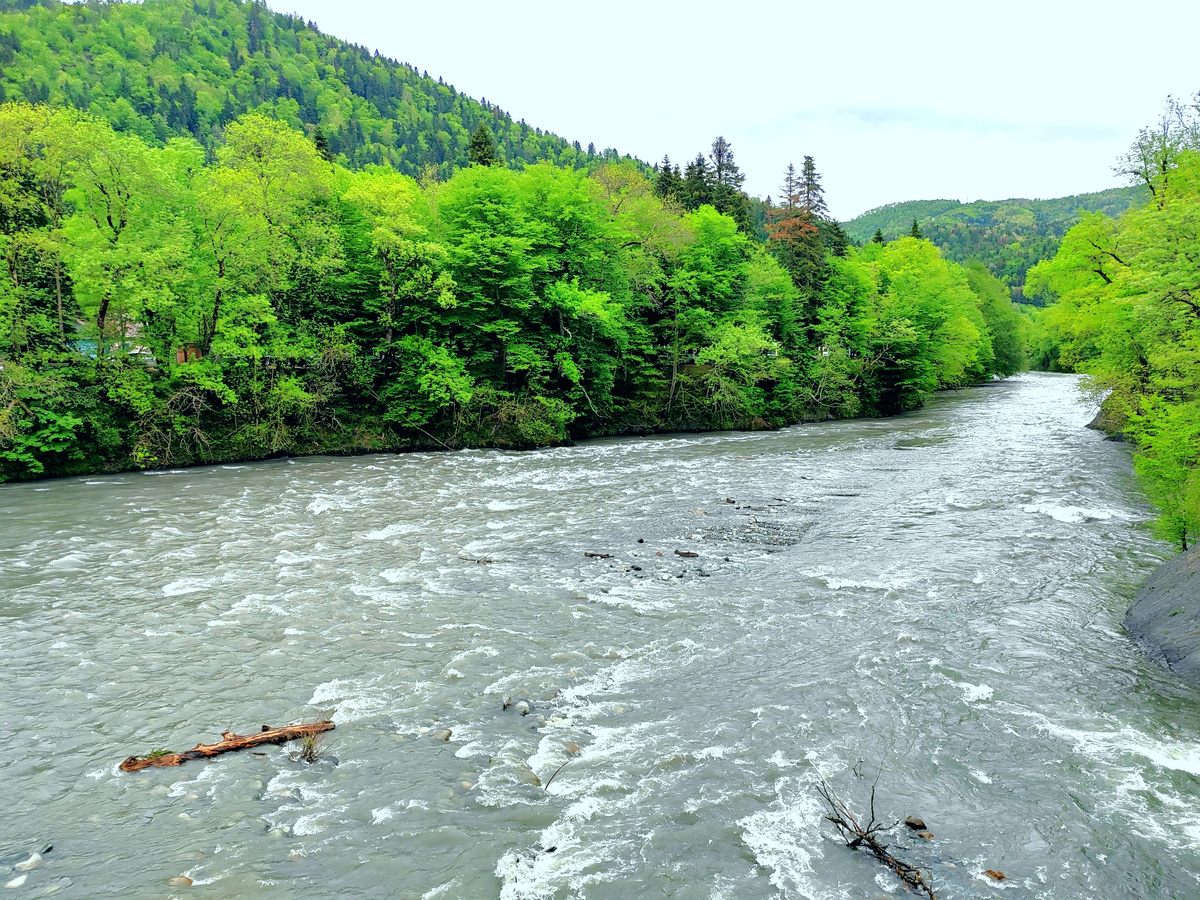Вид на долину реки Белая на территории Кордона "Гузерипль"