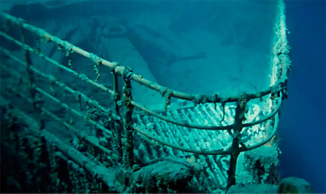 Фото из свободных источников.