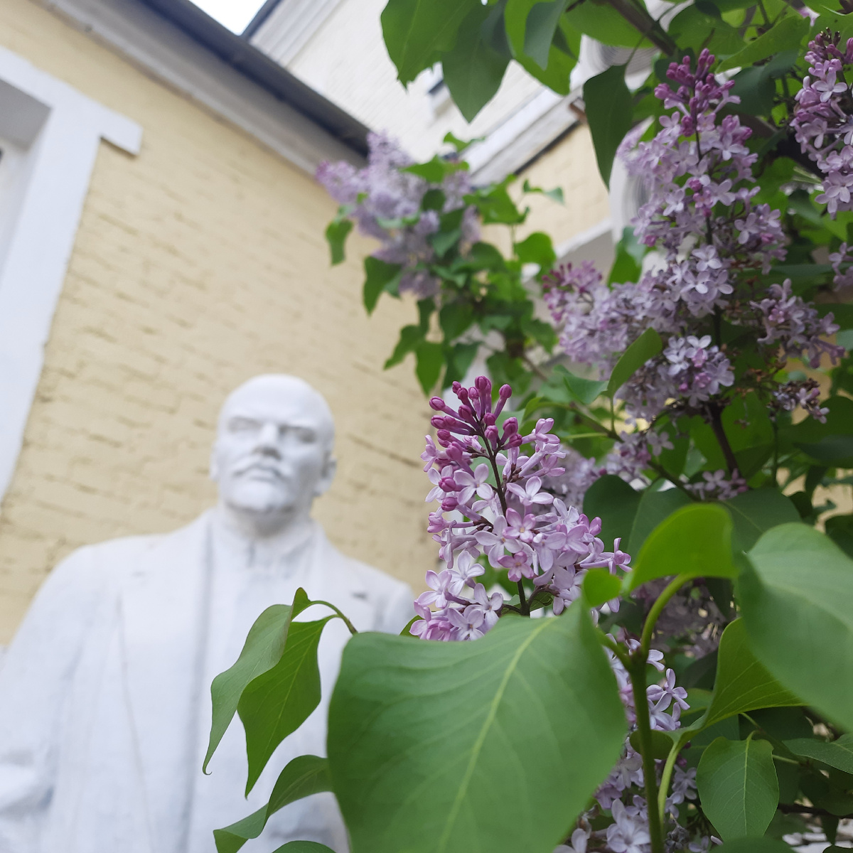 Весна. Фото автора блога.