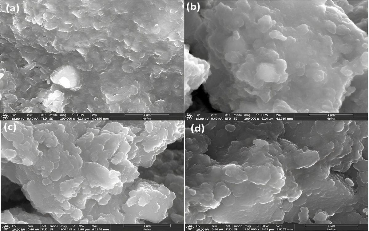 Микрофотографии полученных катализаторов. Источник: Сулейман Аллахвердиев