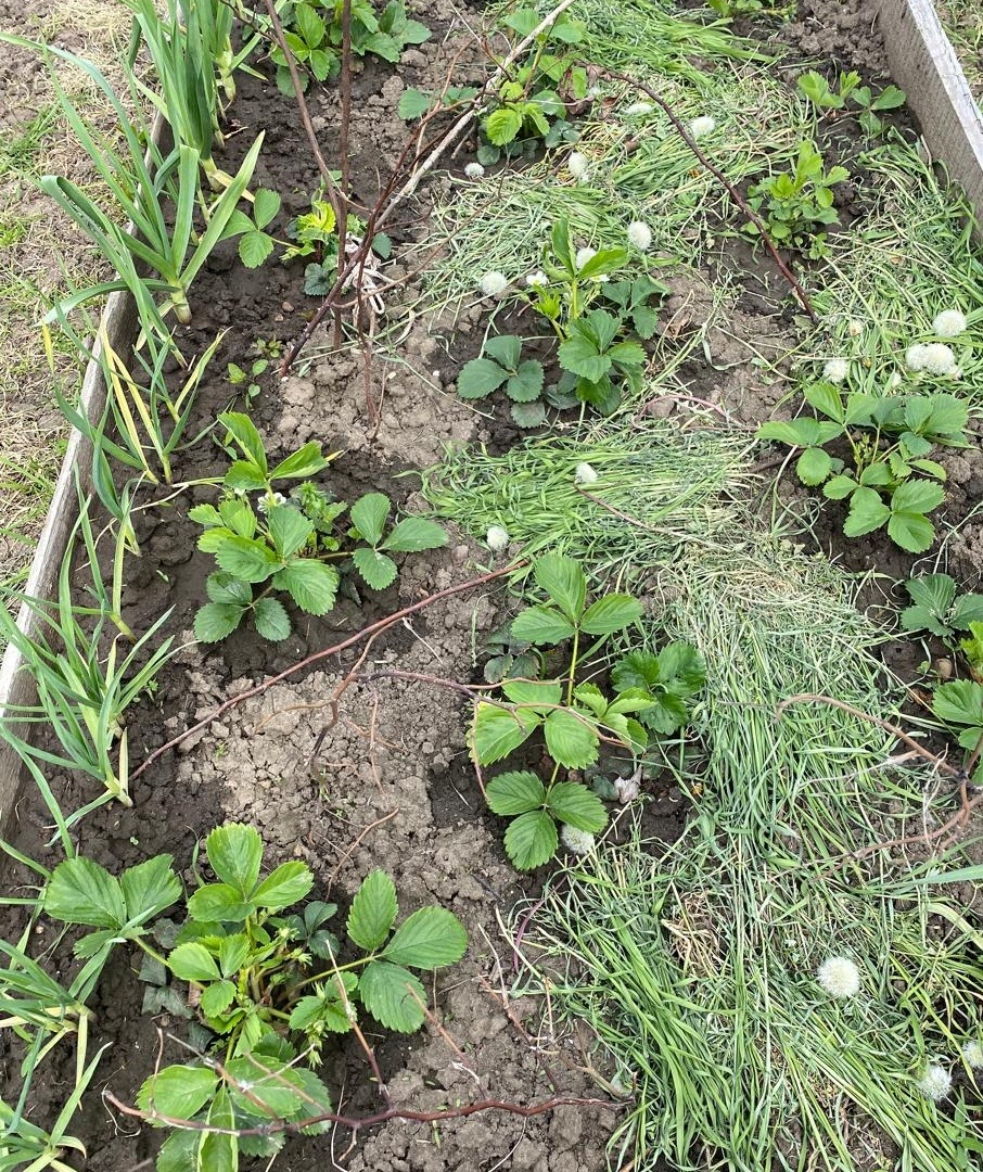 16 апреля 2025 года