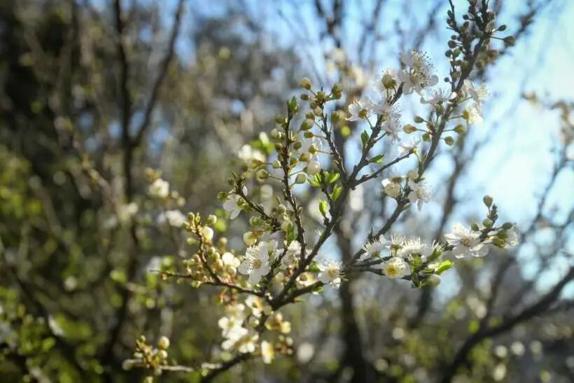     © Sputnik/РИА Новости. Мурад Оруджев