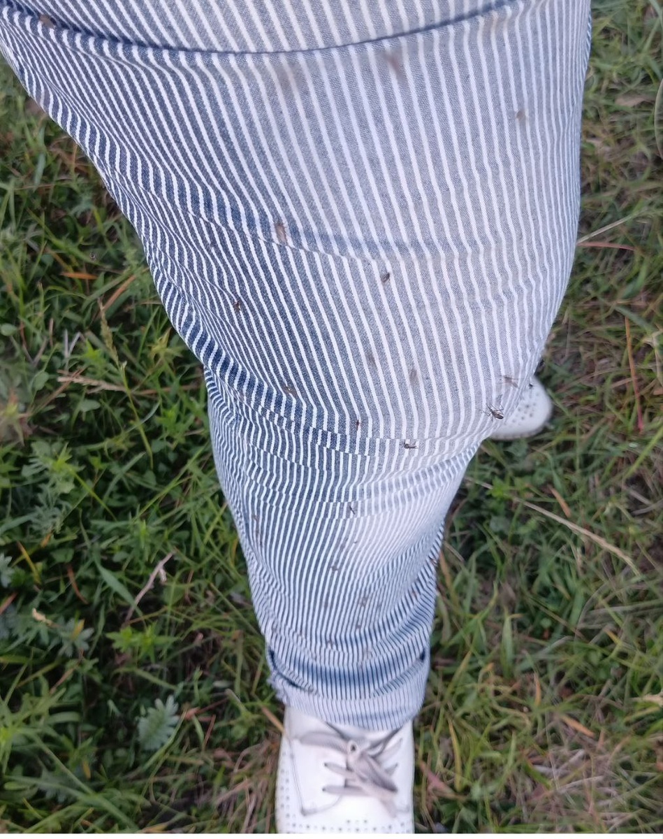 Только нога ступила на землю, "приветливые" комарчики максимально внимательно отнеслись к моей персоне.