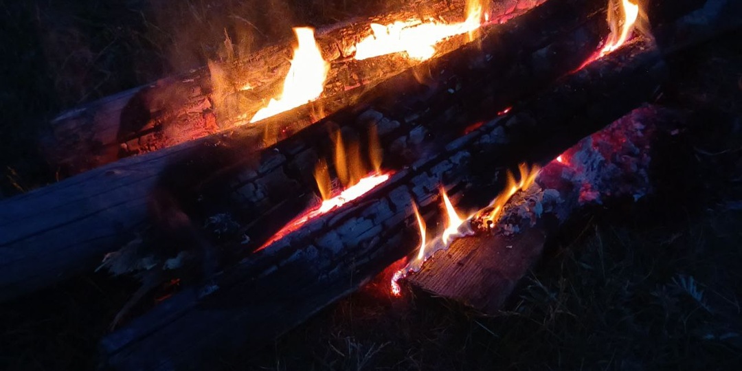 Ни хвоста, ни чешуи.