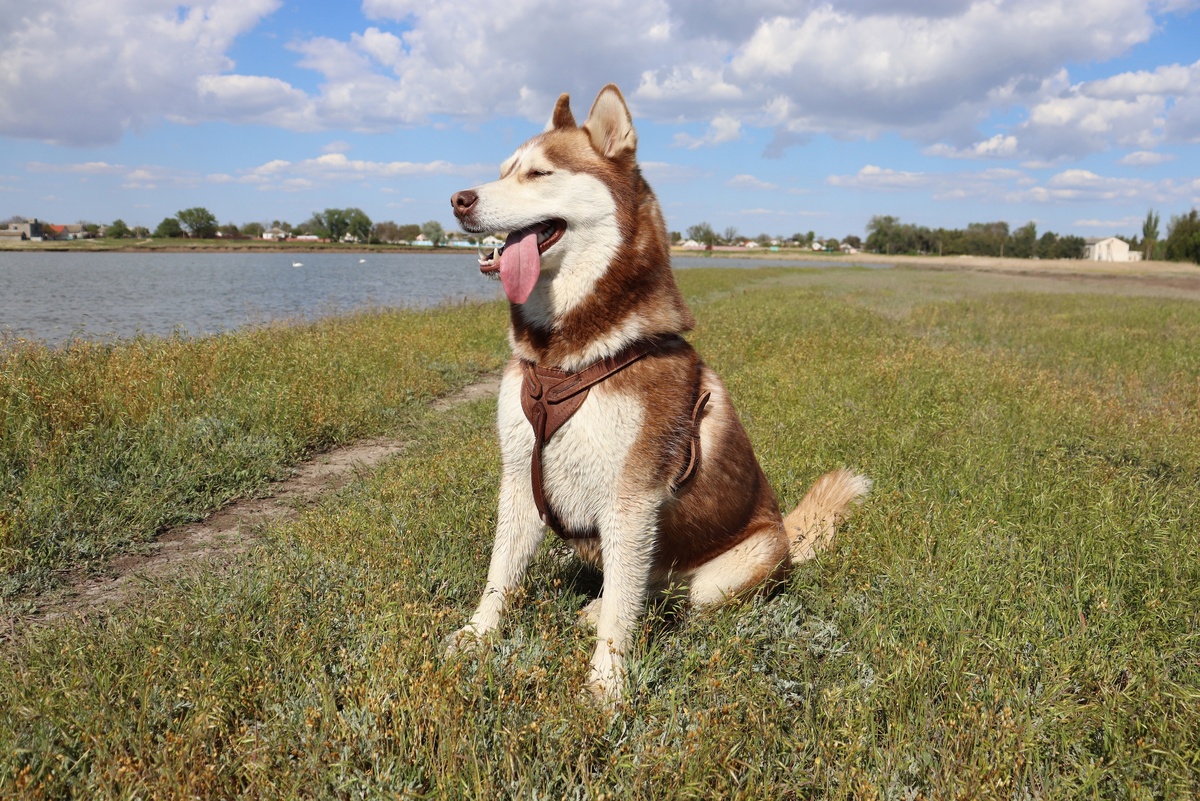    крым 24 Elena Maltseva