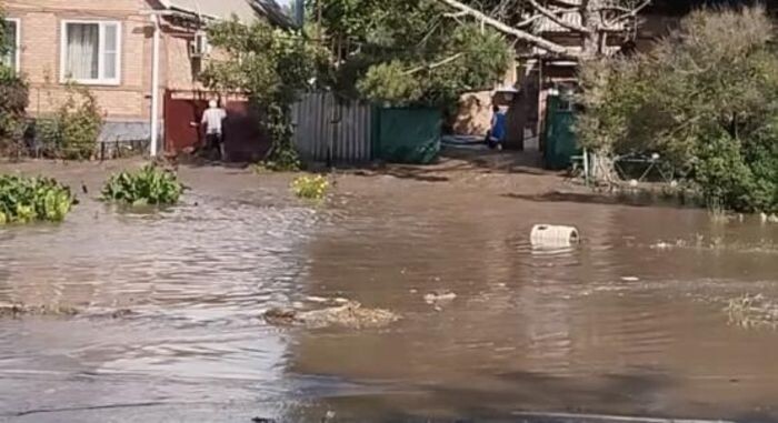 Источник фото: Соцсети