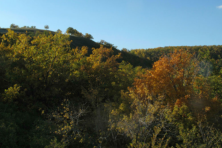    Nikolay Titov/Global Look Press