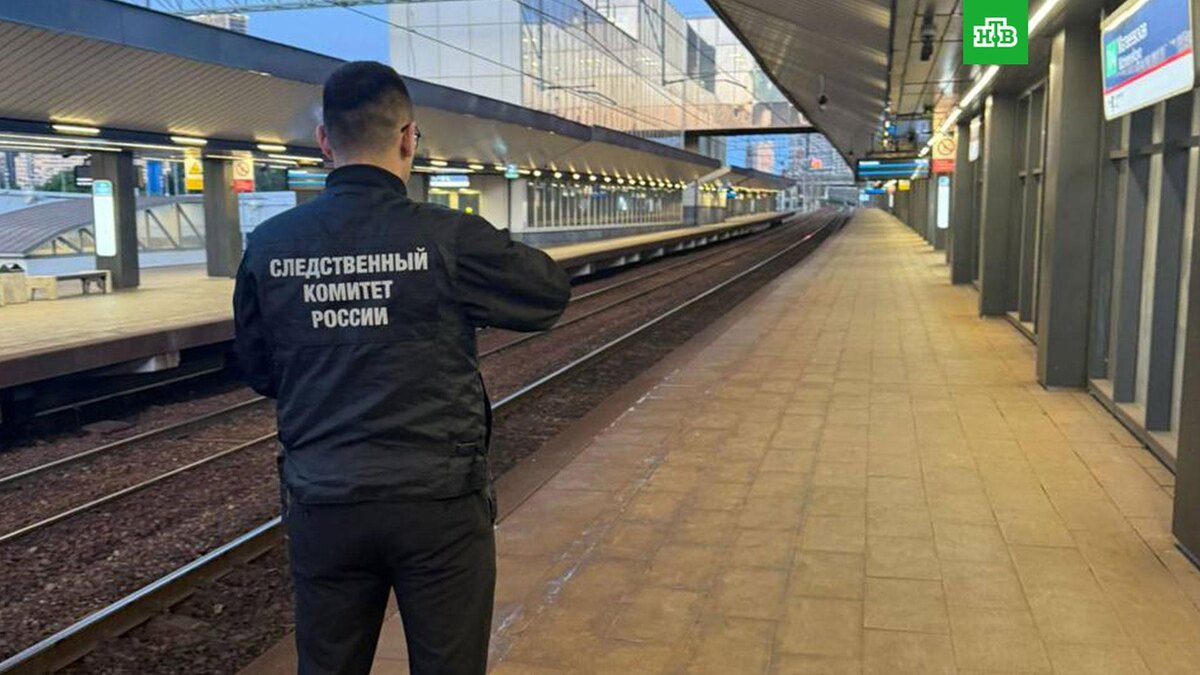    Фото: zmsutskr / t.me