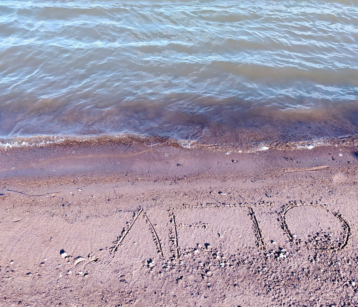 Фото Елены Шантаренко t.me/moscow_mylove