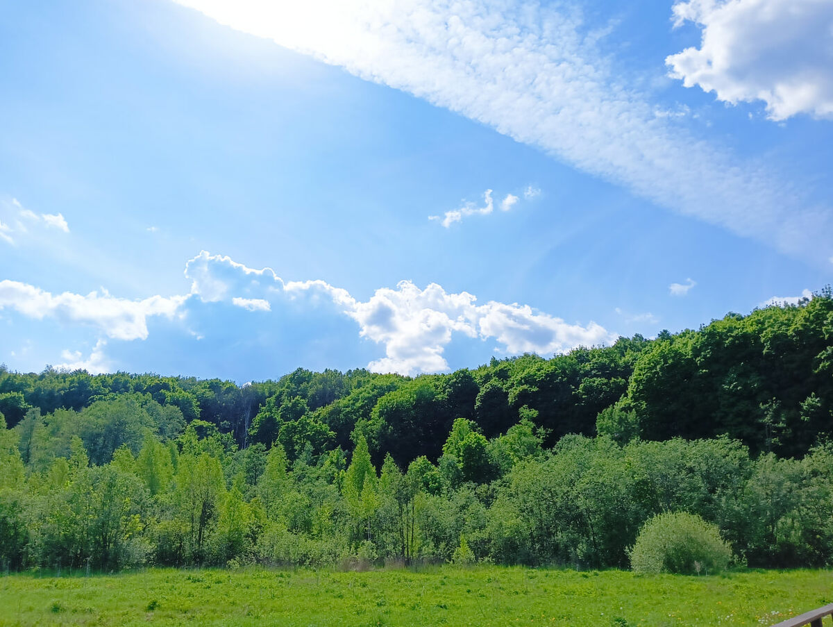 Фото Елены Шантаренко t.me/moscow_mylove