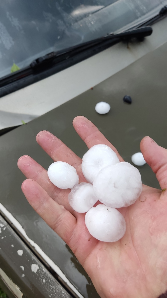     Фото: Анатолий Лебедев