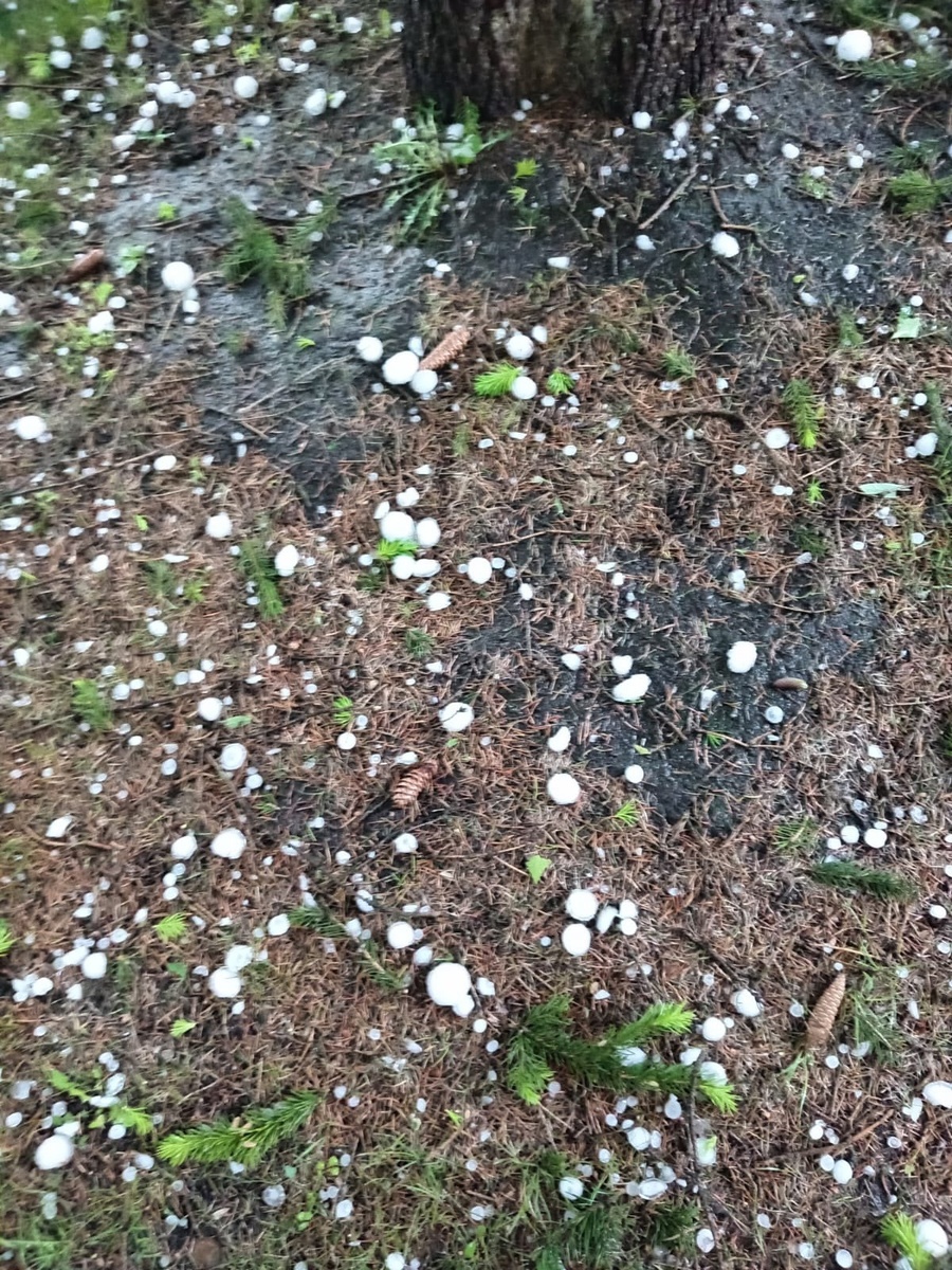    Фото: Наш Новоенисейск™ / vk.com