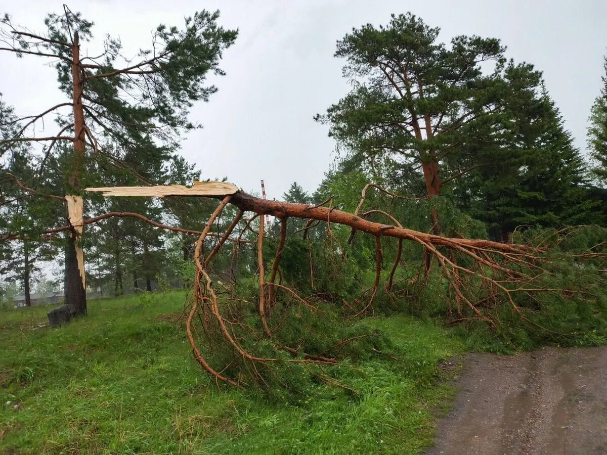    Фото: sibnovosti.ru