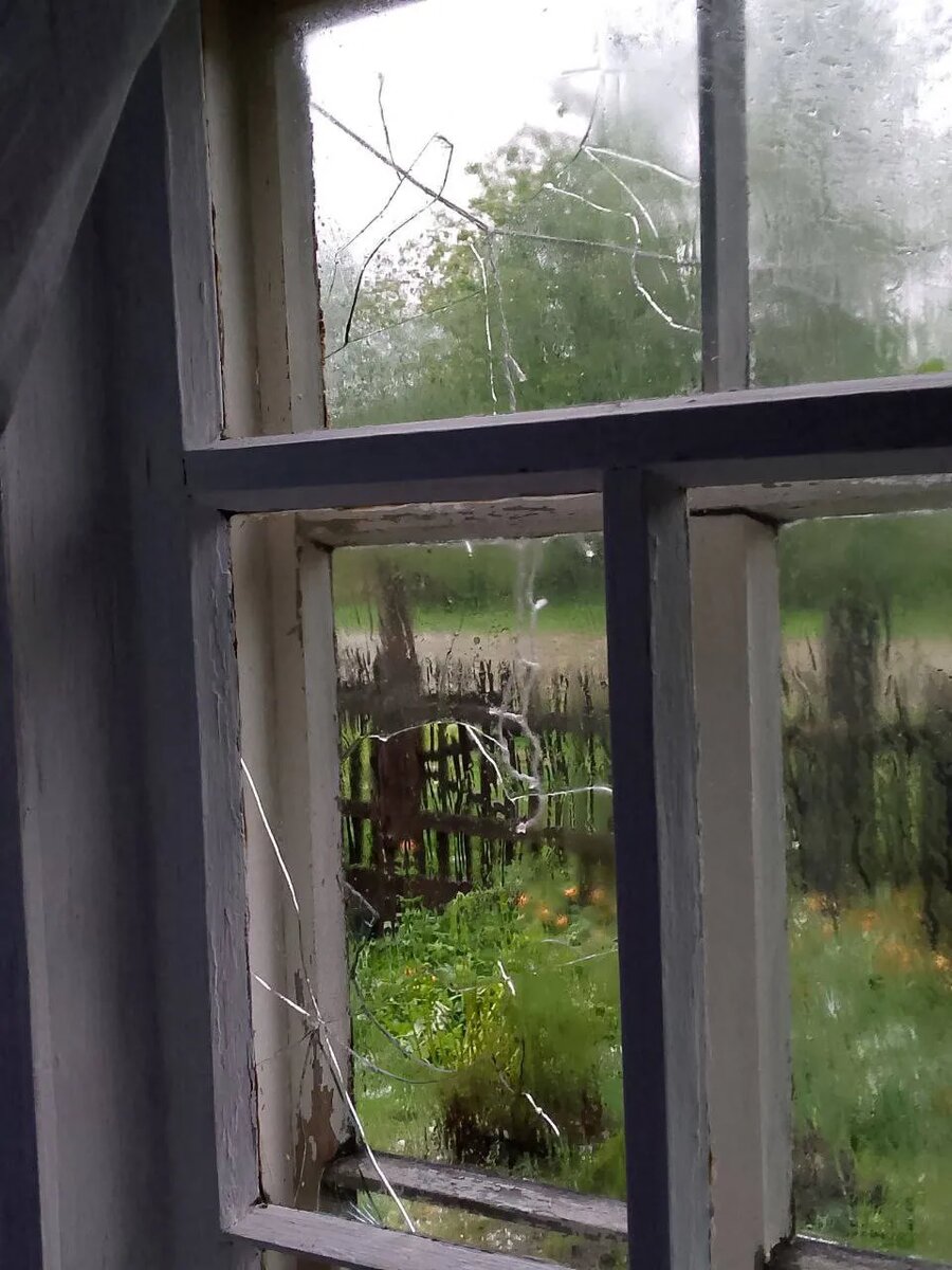    Фото: sibnovosti.ru