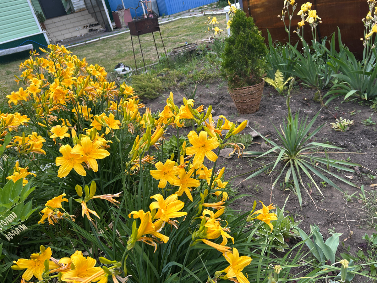 Фото  автора