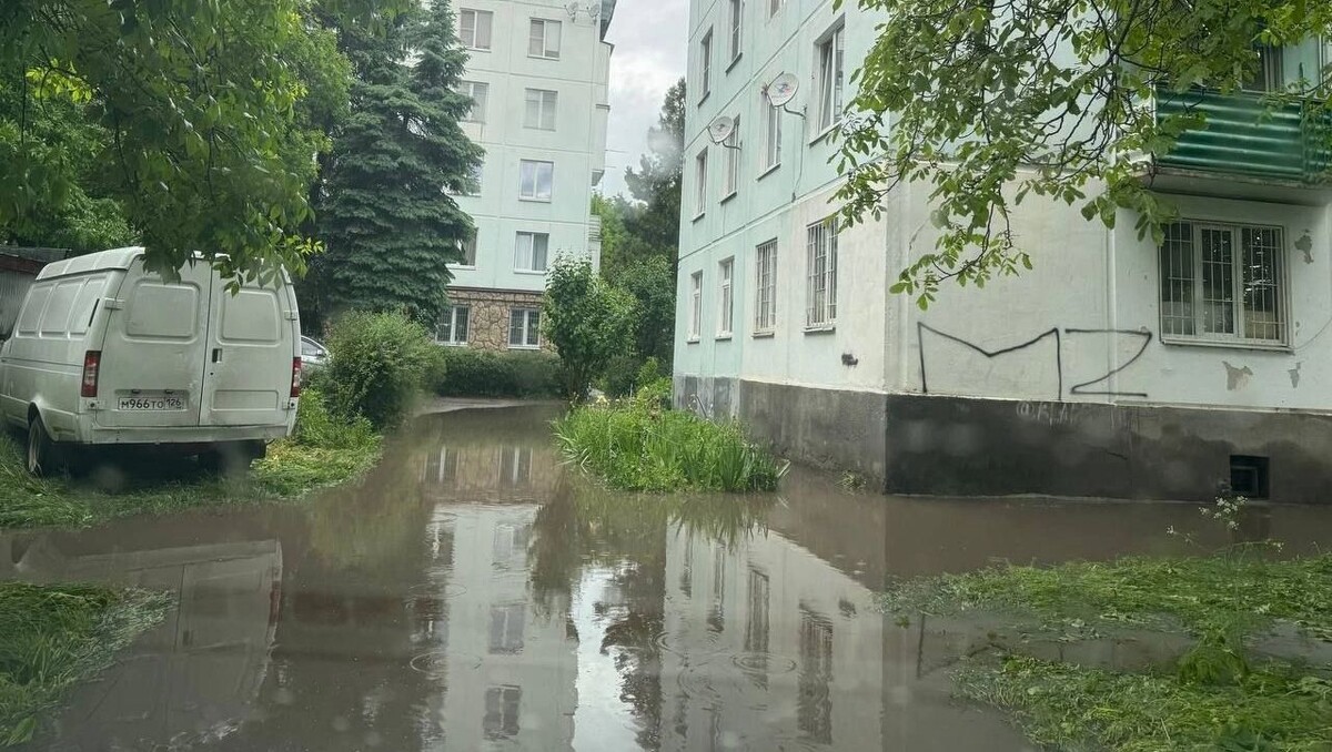     Автор: ТГ Владимира Крутникова