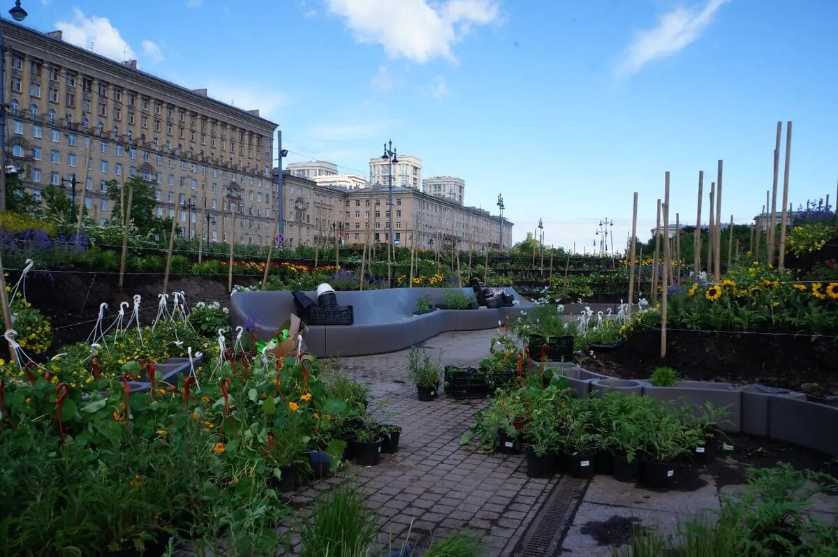    Фото: Мойка78/ Ролан Чепель