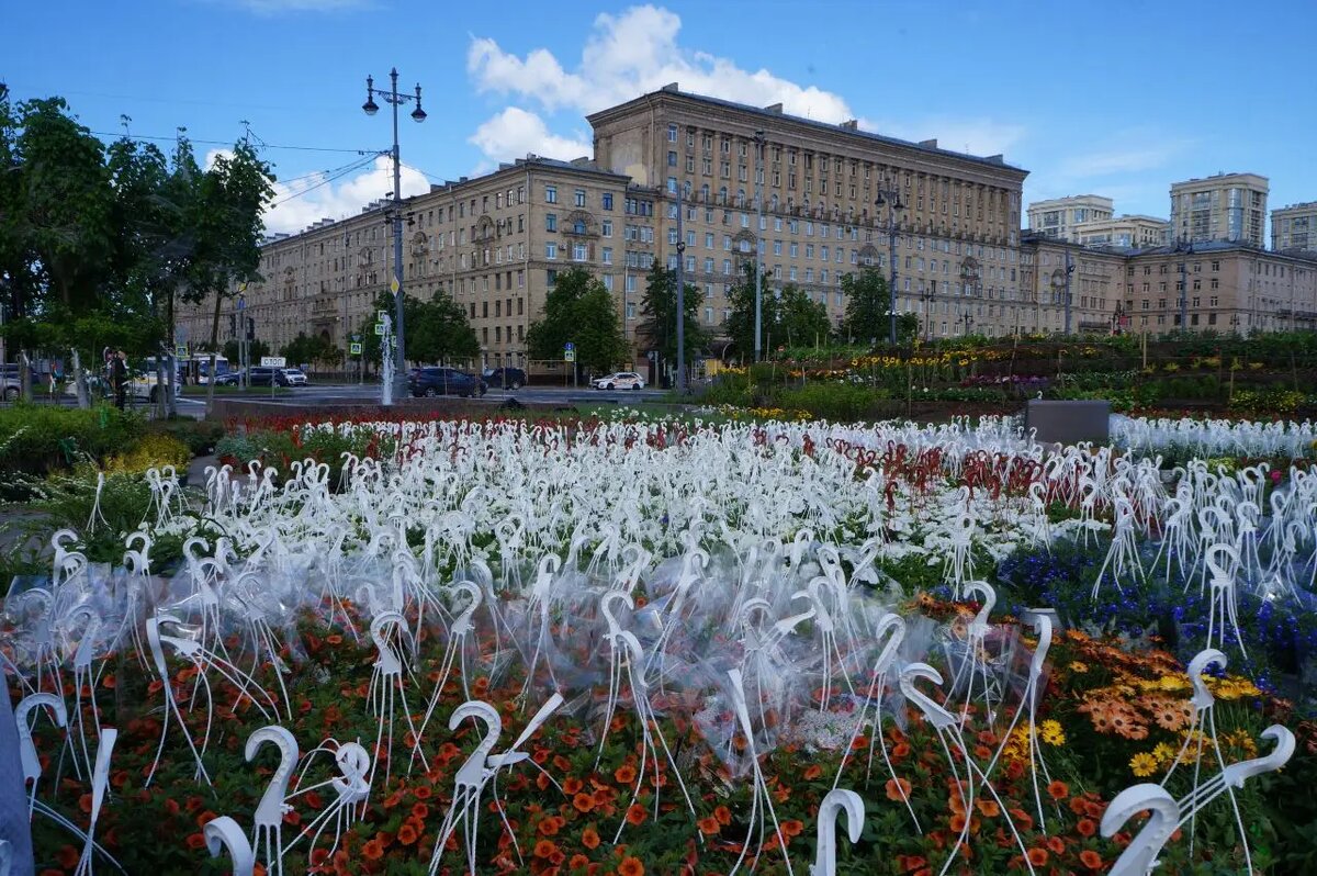    Фото: Мойка78/ Ролан Чепель