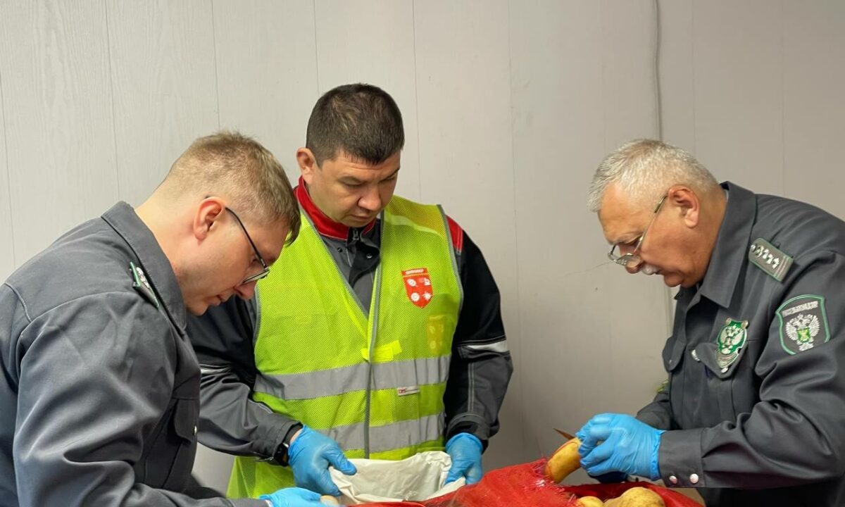    Фото t.me/rsn_yug